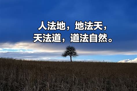 人法地 地法天|道法自然（《道德经》的哲学思想）